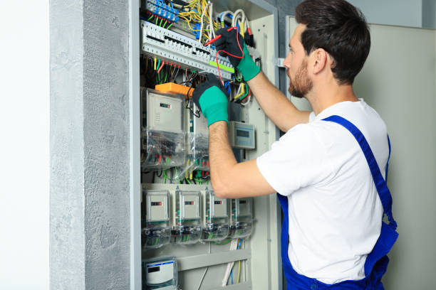 Best Ceiling Fan Installation Electrician  in Alorton, IL